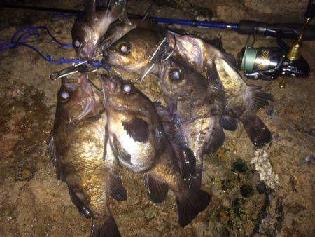 快釣　メバリング