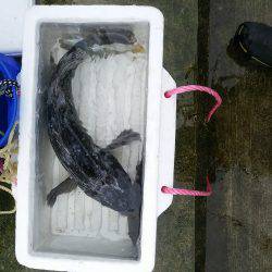 根魚Ｆｉｇｈｔ！