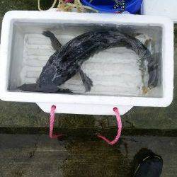 根魚Ｆｉｇｈｔ！