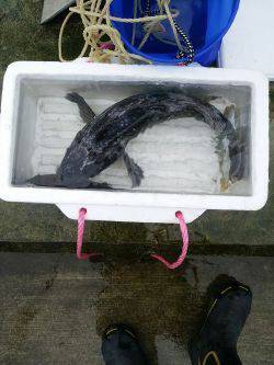 根魚Ｆｉｇｈｔ！