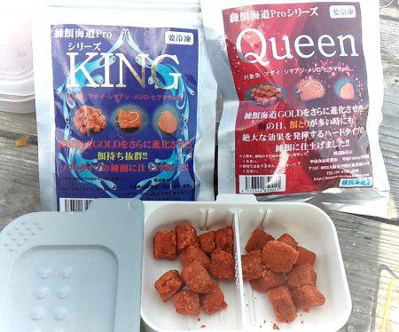 海上釣り堀紀州/かなすび釣果