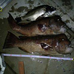 強烈モンスター!!