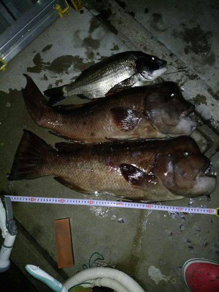 強烈モンスター!!