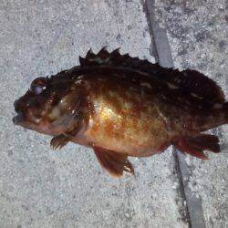 久しぶりの釣り