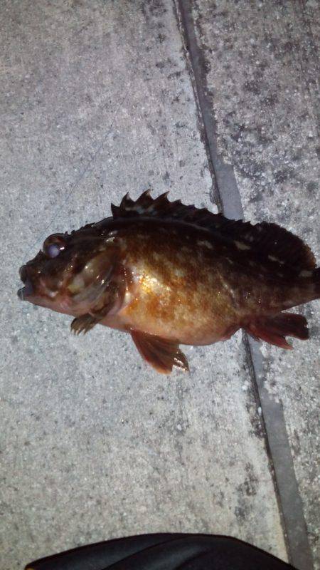 久しぶりの釣り