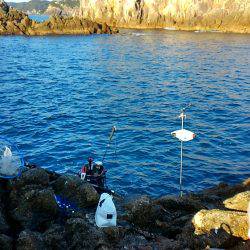 勝浦山成でグレ釣り