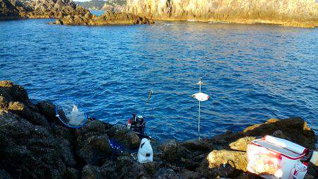 勝浦山成でグレ釣り