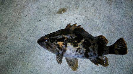 寒い時こそロックです♪