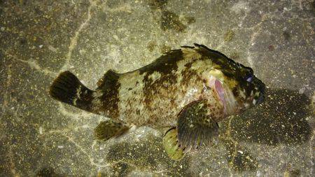 久しぶりに行って来ました！