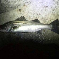 また仕事帰りに行っちゃいました…