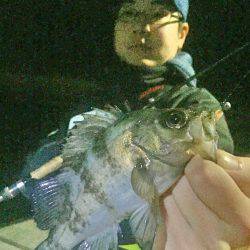 南風強　メバリング！