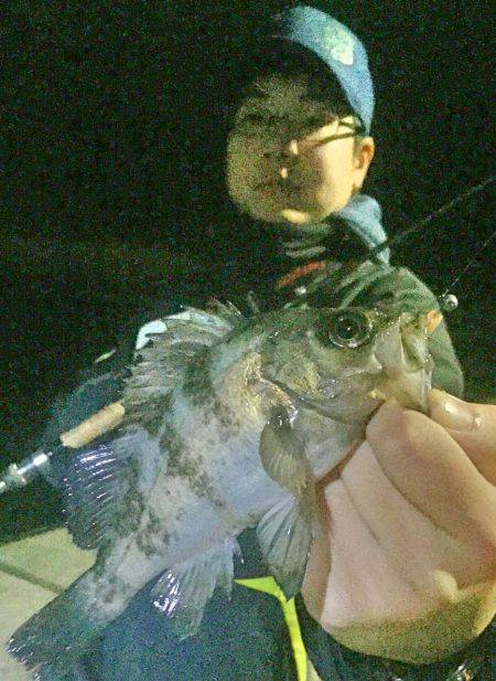 南風強　メバリング！