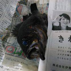 明けてからの短時間勝負。