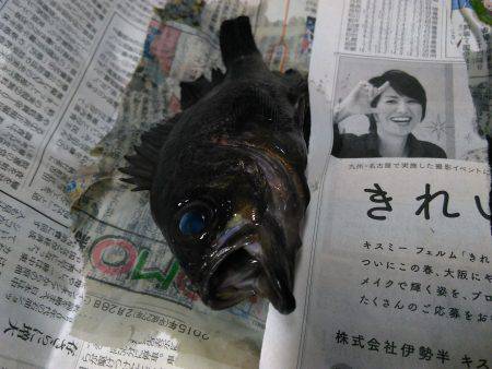 明けてからの短時間勝負。