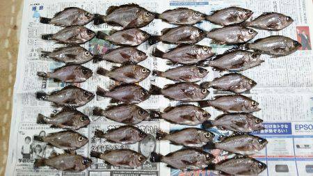 メバルウキ釣り