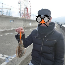 コウイカ エギング♪