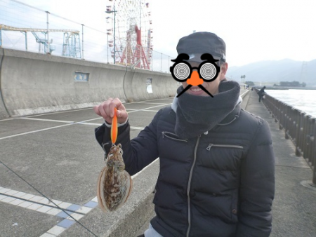 コウイカ エギング♪