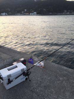 カゴ釣りでソーダガツオ入れ食い