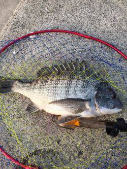 ノッコミ到来？！