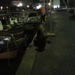 渋いと判っていながら