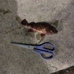 やっぱり寒いです