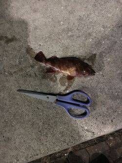 やっぱり寒いです