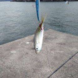 フックはしっかり研ぎましょう