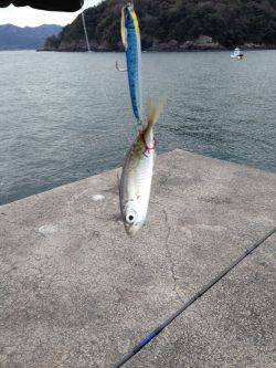 フックはしっかり研ぎましょう