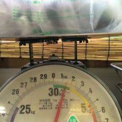 遠征なんとかボウズ逃れの劇渋