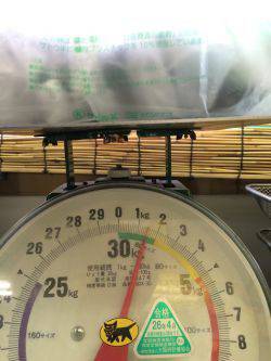 遠征なんとかボウズ逃れの劇渋