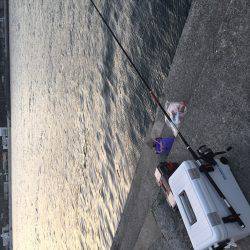 カゴ釣りでソーダガツオ入れ食い