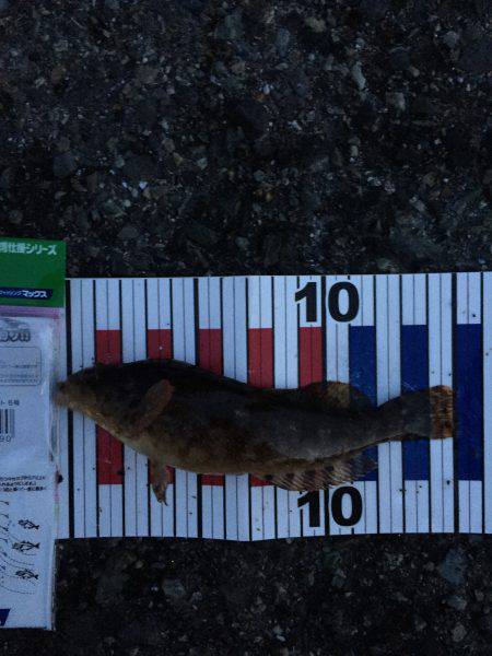 見える魚は活性低い?