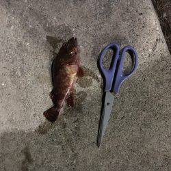 やっぱり寒いです