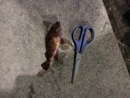 やっぱり寒いです