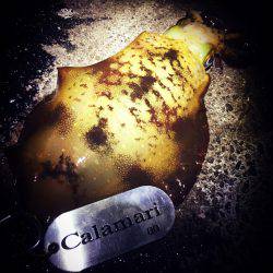 トリック エギング