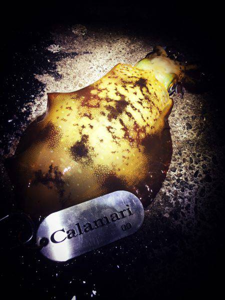 トリック エギング