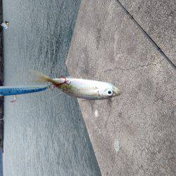 フックはしっかり研ぎましょう