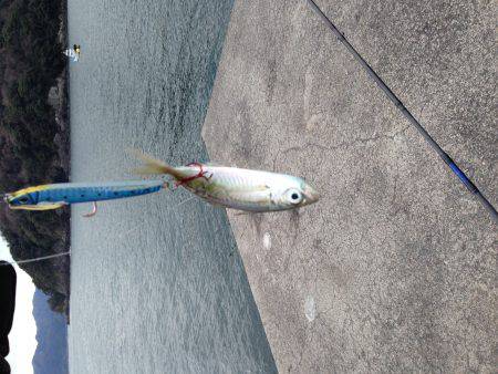 フックはしっかり研ぎましょう