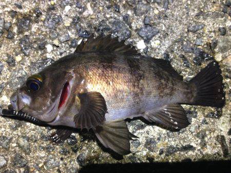 好きなワームのカラー。