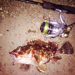 癒し系のあいつら・・・