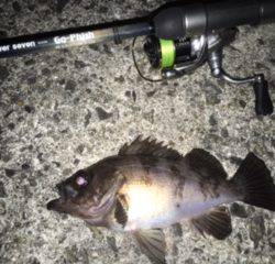 はるはる めばる