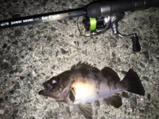 はるはる めばる