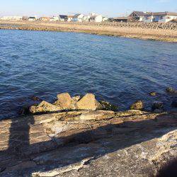 渋かったです。