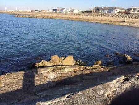 渋かったです。