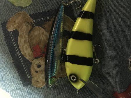 ありがとうございます