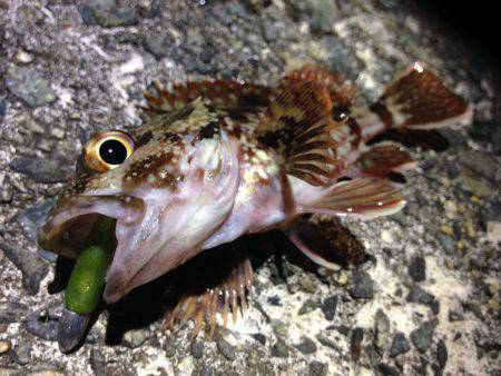 なかなかシブい…