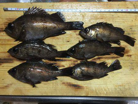 久しぶりに加太へ