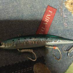 イワシを探して三千里