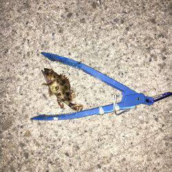 仕事帰りの残業だよ