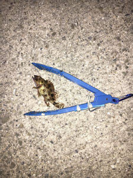 仕事帰りの残業だよ